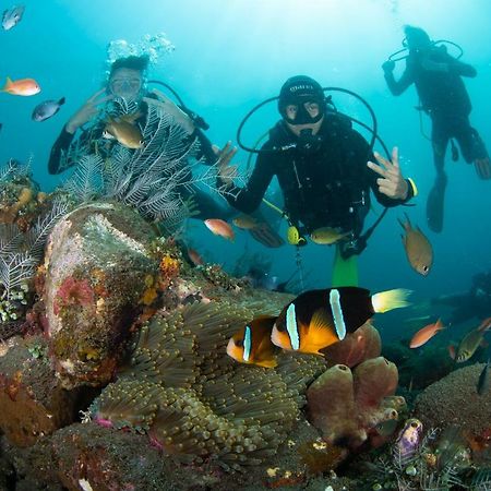 Bali Dive Resort Amed Exterior foto